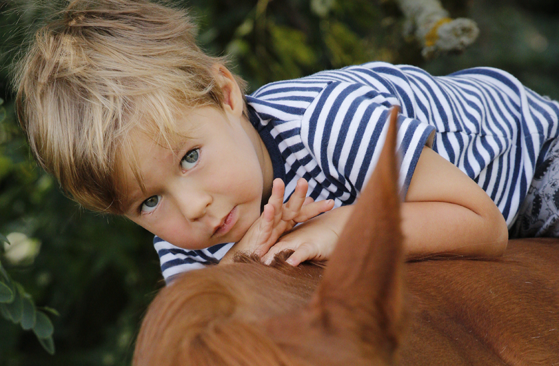 blonde-haired child on a chestnut pony