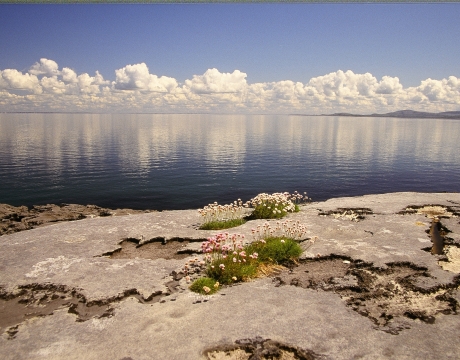 The Burren_master