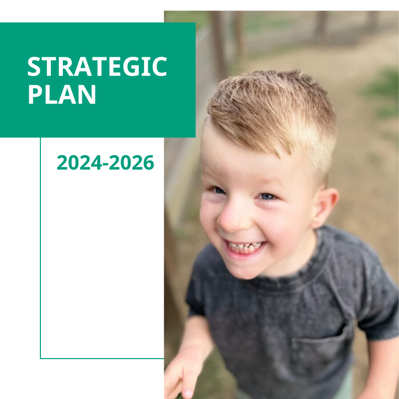 Our Strategic Plan 2024 2026 IPWSO   Blog Post Pic 800 