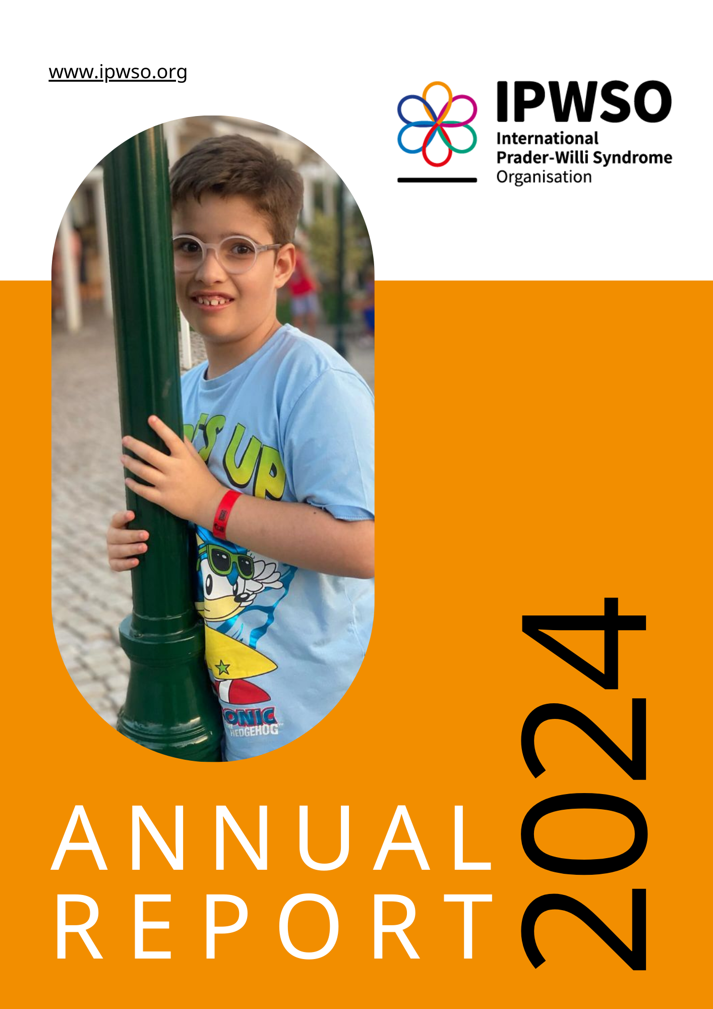 Annual report cover